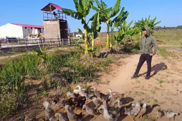 Quang Linh Vlog hé lộ giá sốc loài ở Việt Nam bán đầy chợ, tại Angola giàu mới dám ăn-1