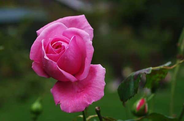 Cuối tháng 4 Âm lịch, 3 con giáp buôn bán mát tay, đụng trúng hố vàng, tiền tiêu không phải nghĩ-2