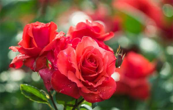 Cuối tháng 4 Âm lịch, 3 con giáp buôn bán mát tay, đụng trúng hố vàng, tiền tiêu không phải nghĩ-3