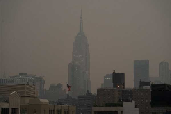 Rệp tấn công New York: Nhiều như mưa đá, chui cả vào tóc, mũi người đi đường-2