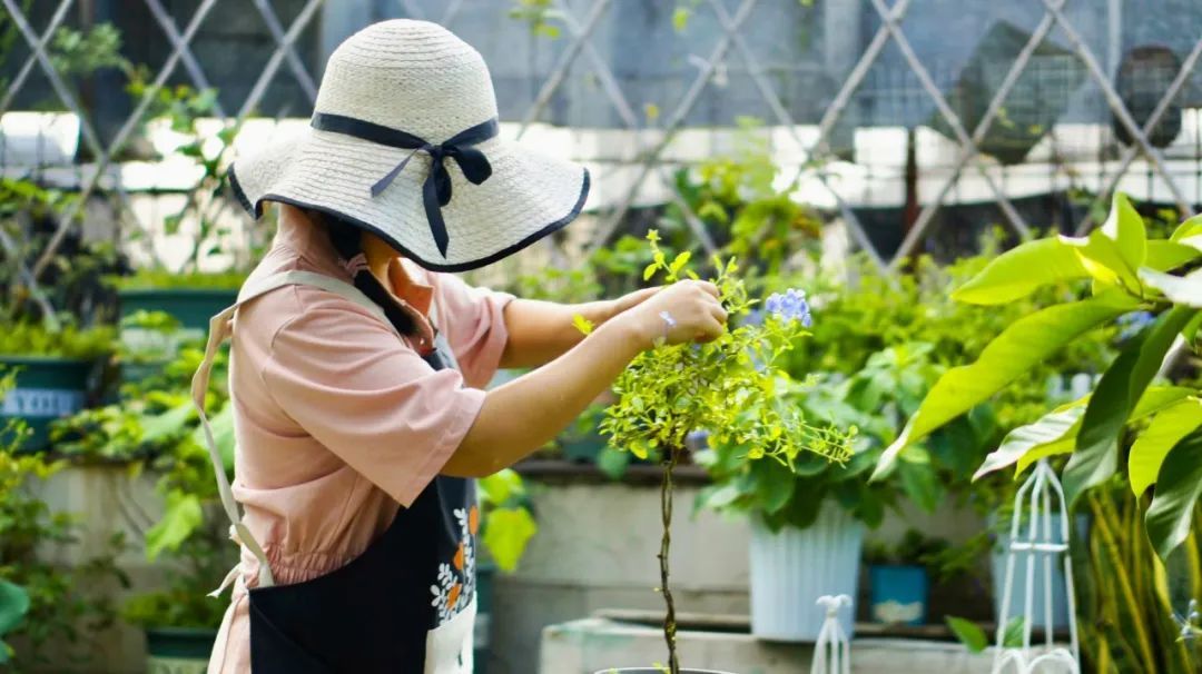 Khu vườn 20m² phủ kín hoa trên sân thượng của cô gái 9x-2