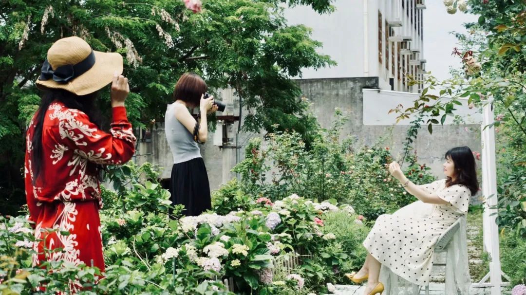 Khu vườn 20m² phủ kín hoa trên sân thượng của cô gái 9x-3