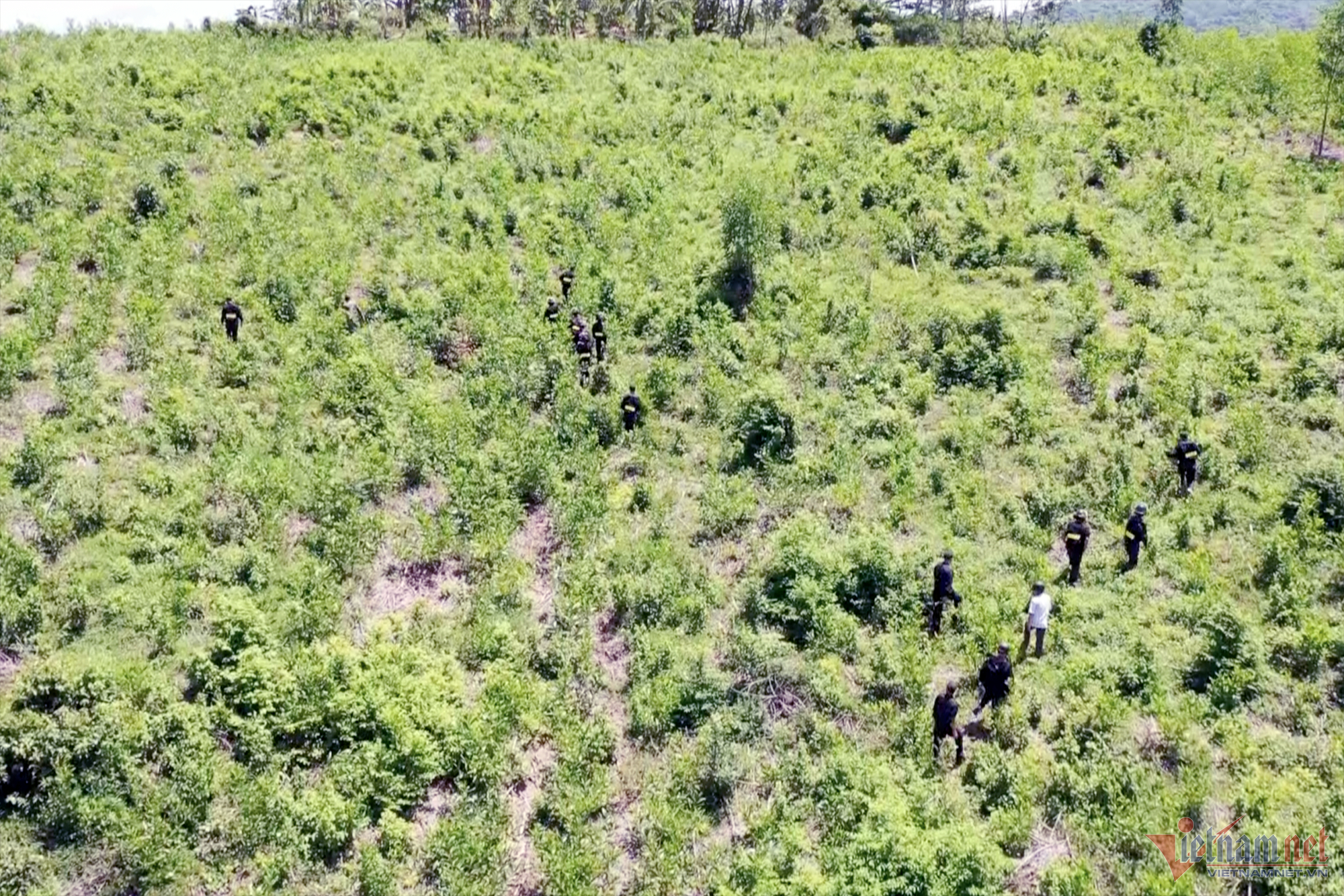 Nồi cơm ăn dở giữa rừng, lộ dấu vết nghi phạm đoạt mạng 3 phụ nữ ở Khánh Hòa-2