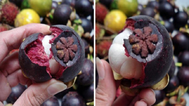 Cách bóc vỏ măng cụt dễ dàng, không cần dùng dao-2