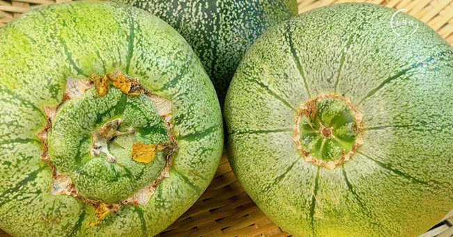 Dưa lê, dưa bở chọn quả rốn to hay rốn nhỏ?-2