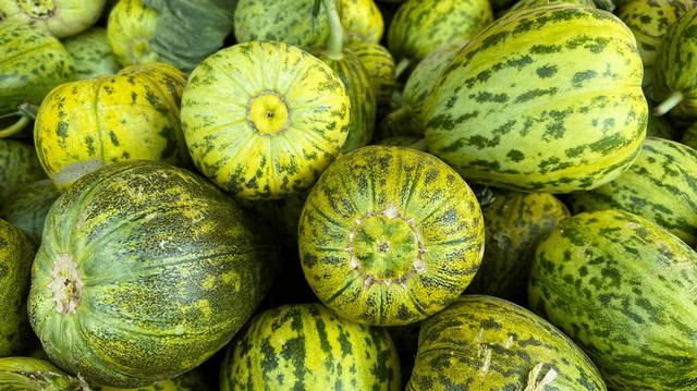 Dưa lê, dưa bở chọn quả rốn to hay rốn nhỏ?-5
