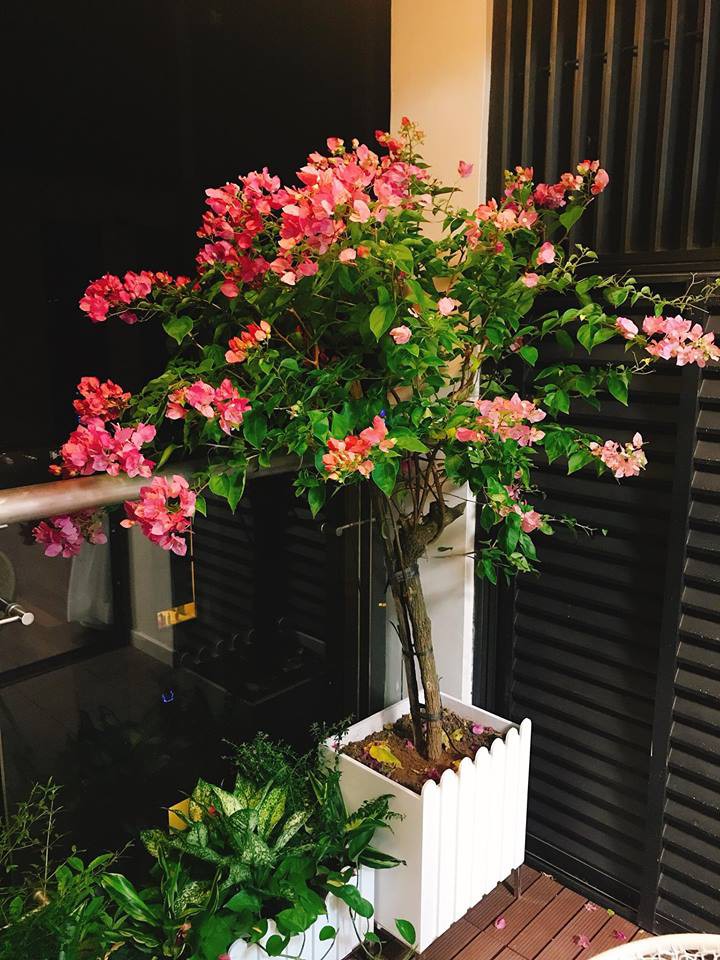 Siêu mẫu Vbiz đời đầu kiểm tra điện thoại chồng mỗi ngày, hé lộ không gian nhà mới hoành tráng-23