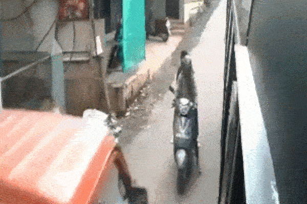 Clip: Kẹt giữa xe buýt và xe tải, 2 người phụ nữ thoát chết thần kỳ