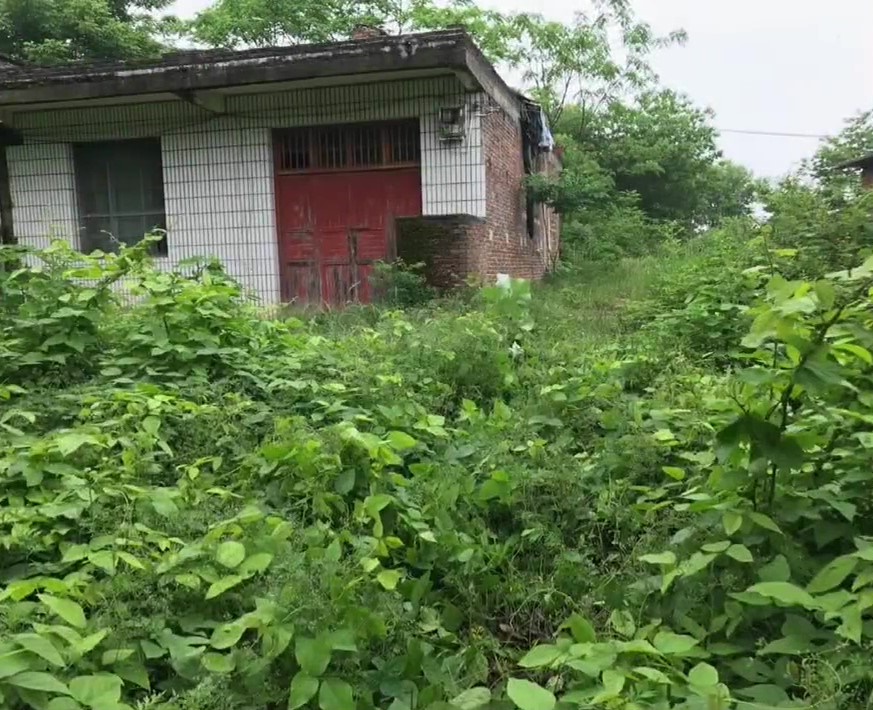 Chi 1,6 tỷ xây nhà, làm vườn đẹp như phim hoạt hình để sống một mình ở quê-2