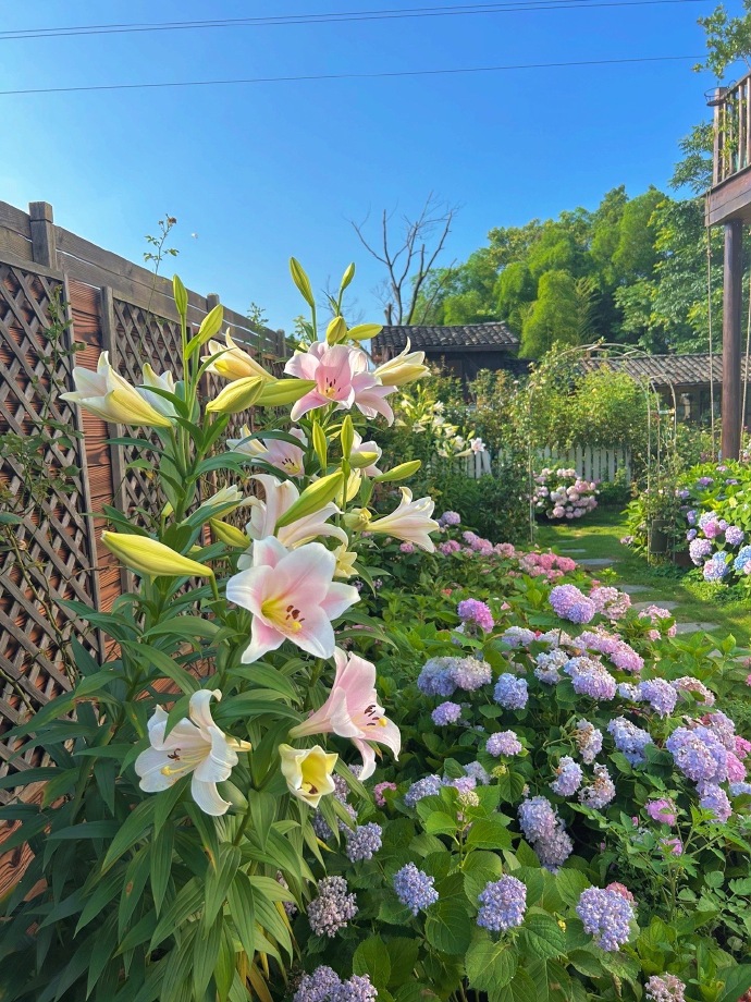 Chi 1,6 tỷ xây nhà, làm vườn đẹp như phim hoạt hình để sống một mình ở quê-19