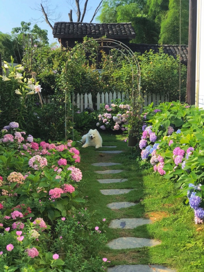 Chi 1,6 tỷ xây nhà, làm vườn đẹp như phim hoạt hình để sống một mình ở quê-20