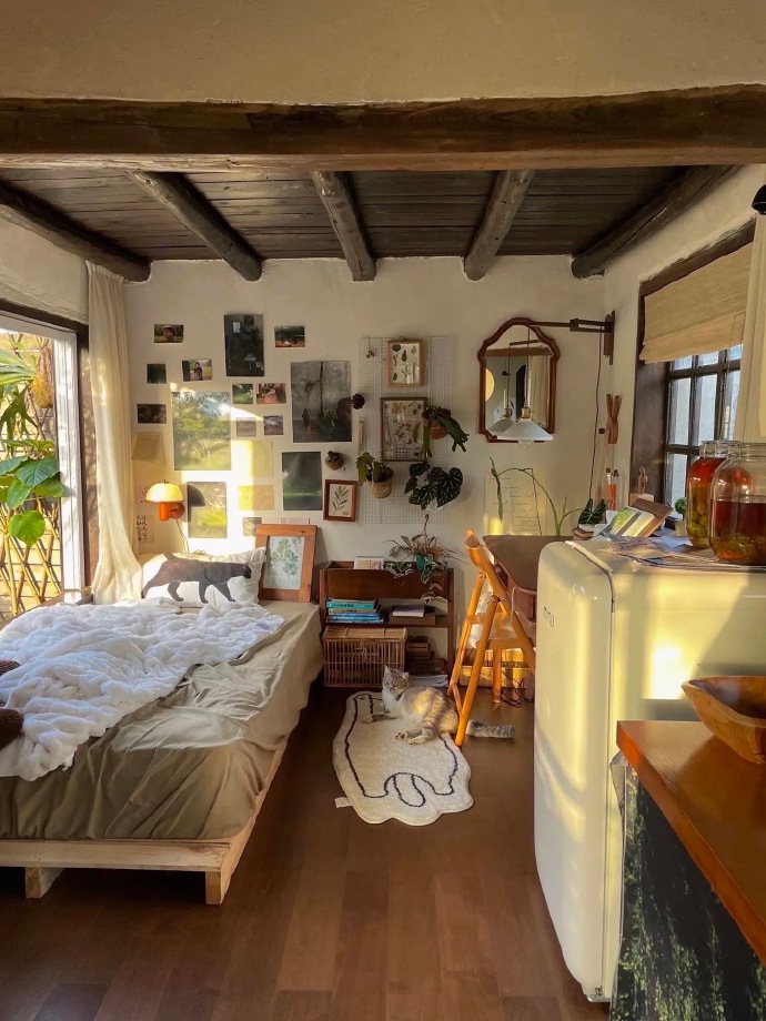 Chi 1,6 tỷ xây nhà, làm vườn đẹp như phim hoạt hình để sống một mình ở quê-24