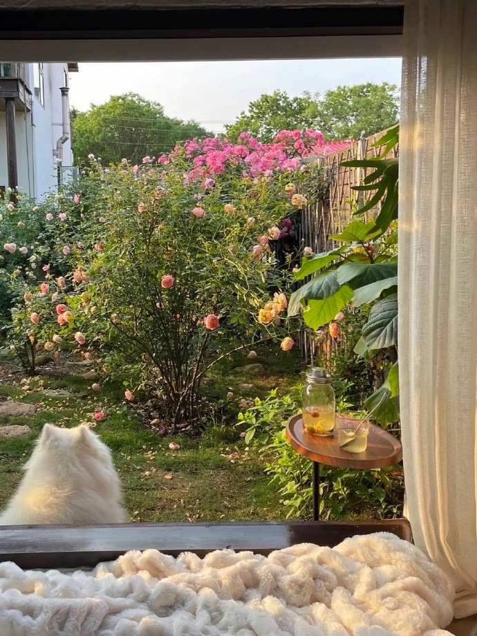 Chi 1,6 tỷ xây nhà, làm vườn đẹp như phim hoạt hình để sống một mình ở quê-26