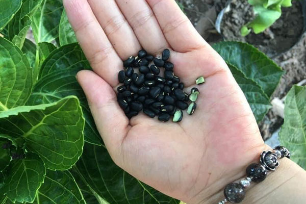 Miền Bắc sẽ giảm cắt điện nhờ có thêm 1.000 MW công suất-2