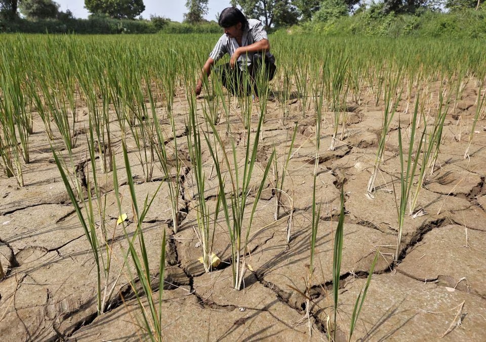 El Nino đã tới-2