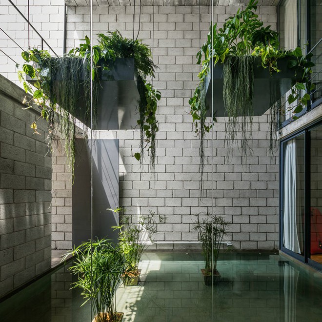 Ngôi nhà ống càng ngắm càng mê nhờ khu vườn xanh mướt-6