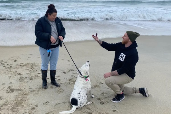 Cô gái bất ngờ trước màn cầu hôn với sự góp mặt của nhân vật đặc biệt-2