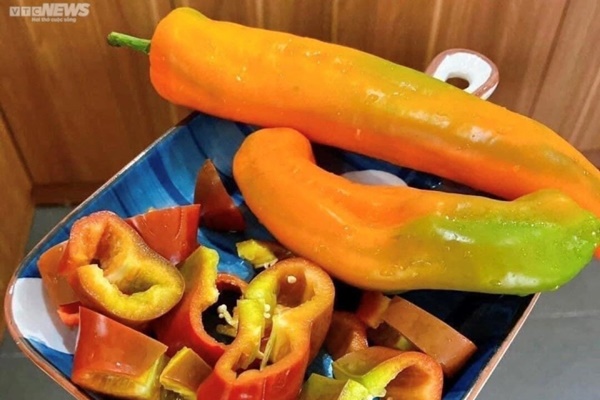 Ớt siêu to khổng lồ giá đắt đỏ, khách chờ cả tháng đặt mua-3