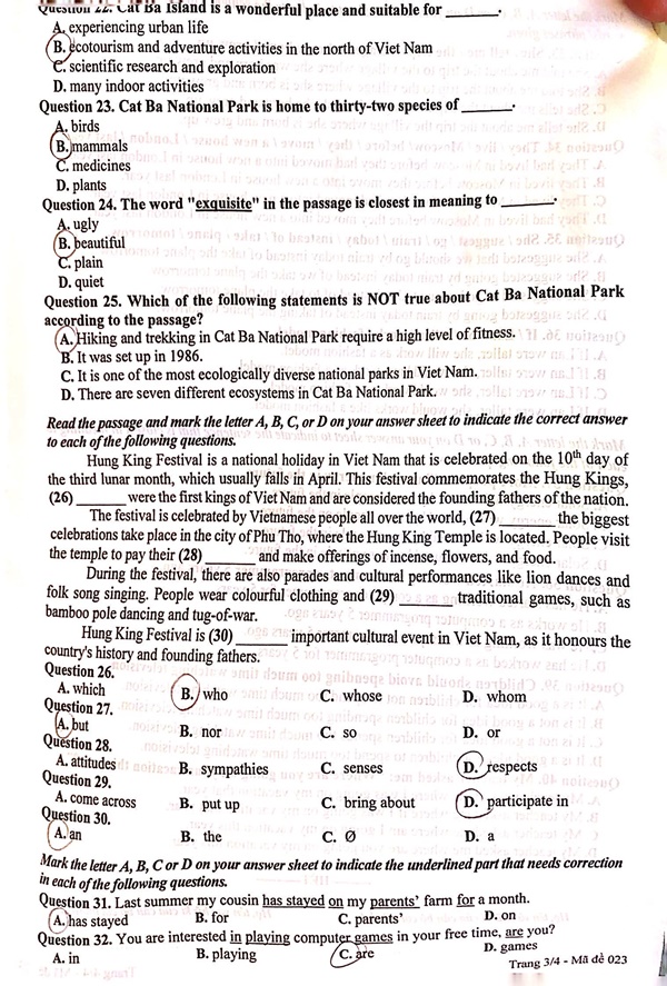 Đề thi Tiếng Anh vào lớp 10 Hà Nội: Liệu có mưa điểm 9, 10?-3