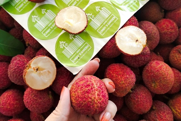 Việt Nam có vải thiều không hạt, giá bán từ 250.000 đồng/kg-2