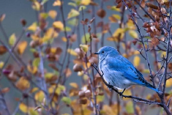 Người sinh tháng Âm lịch này không bỏ bê bạn bè, quý nhân luôn vây quanh, càng sống càng phú quý-4