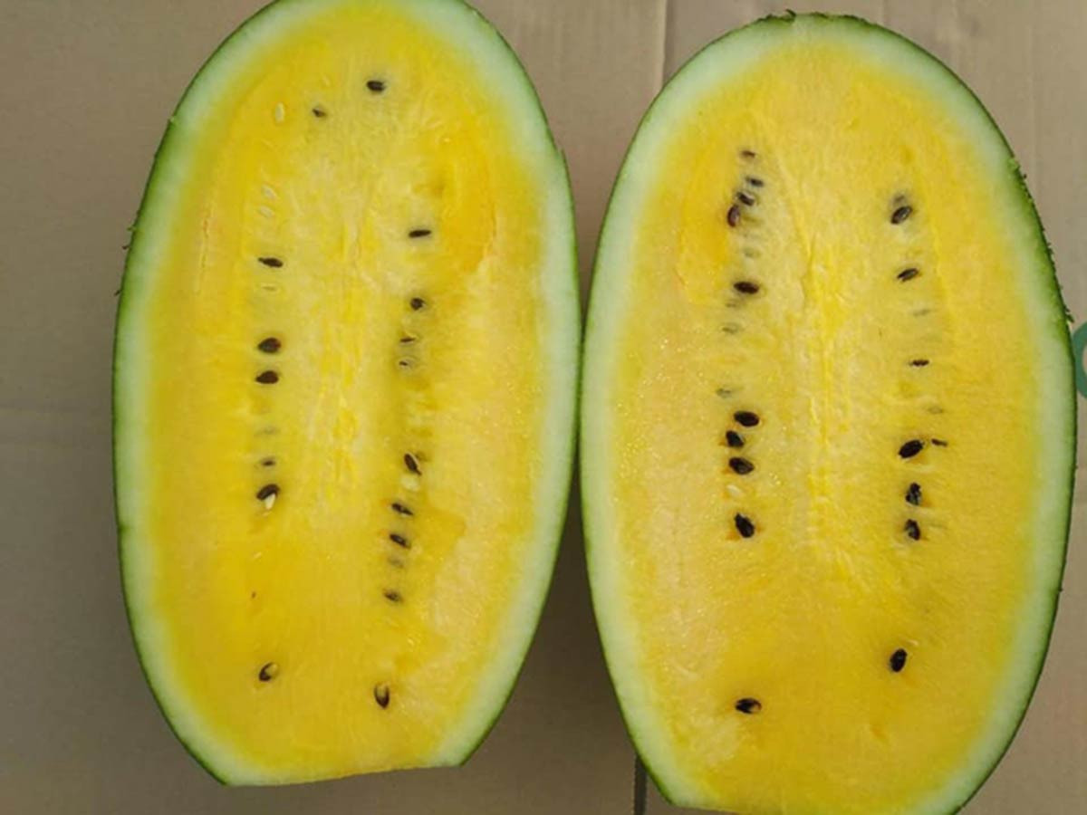 Những loại dưa hấu độc lạ, giá cao vẫn hút khách-3