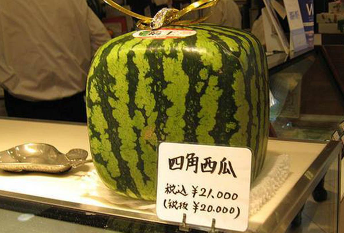 Những loại dưa hấu độc lạ, giá cao vẫn hút khách-2
