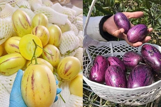 Những loại dưa hấu độc lạ, giá cao vẫn hút khách