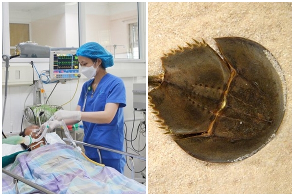 Những lưu ý ‘sống còn’ khi ăn nấm, chớ phạm phải kẻo ngộ độc chết người-3