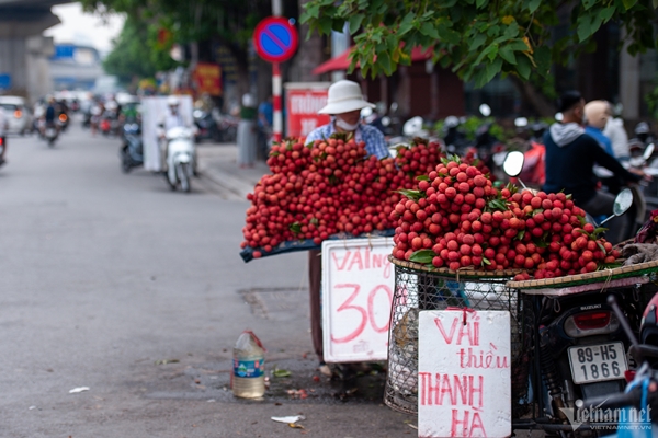 Rộ mốt mua cả cây vải thiều giá chục triệu đồng, ăn cho đỡ nghiện-4