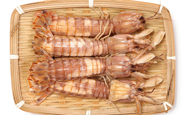 2 cách bóc vỏ bề bề cực dễ cho tín đồ mê hải sản-1