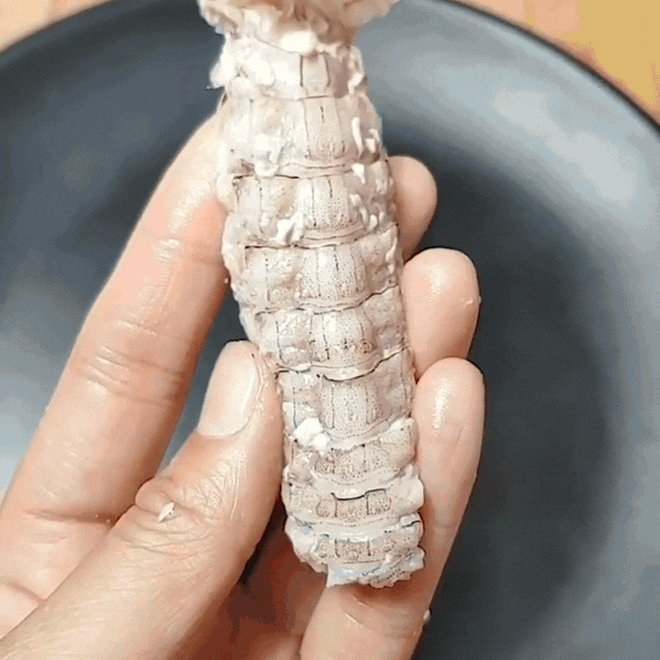 2 cách bóc vỏ bề bề cực dễ cho tín đồ mê hải sản-3