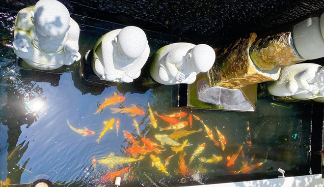 Soái ca trẻ nhất Shark Tank Việt Nam khoe gu thẩm mỹ tinh tế trong căn biệt thự cao cấp, khiến bao cô gái thầm ao ước-20