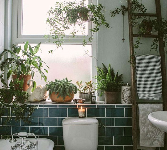 Phòng tắm dùng xong nên đóng hay mở cửa? Việc đơn giản bao người làm sai-5