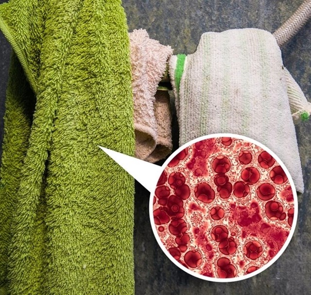 Phòng tắm dùng xong nên đóng hay mở cửa? Việc đơn giản bao người làm sai-8