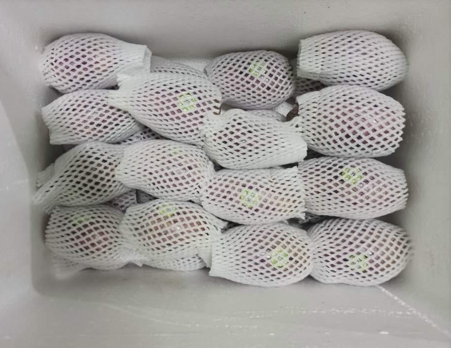 Kỳ lạ dưa hấu màu tím được trồng ở Việt Nam, giá bán hơn 100.000 đồng/kg-3