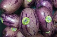 Kỳ lạ dưa hấu màu tím được trồng ở Việt Nam, giá bán hơn 100.000 đồng/kg