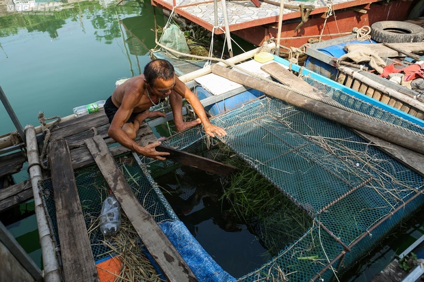 Từ thời cha sinh mẹ đẻ, đây là lần thứ 2 tôi đi bộ được dưới đáy sông Đà-6