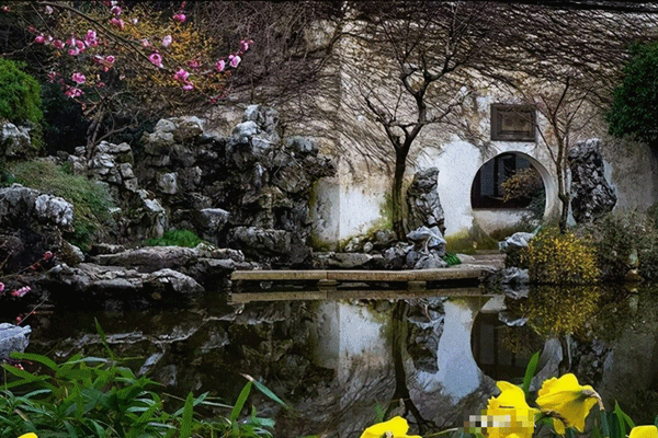 Đổi gió với 2 cây cảnh nhỏ mà có võ, ai nhìn thấy cũng mê mẩn, khó rời-10