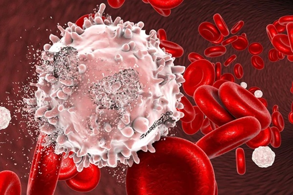 Tiến sĩ người Việt tại Đức: Cơ thể mỗi người đều có tế bào có khả năng biến đổi thành ung thư nhưng không phải ai cũng bị bệnh-2