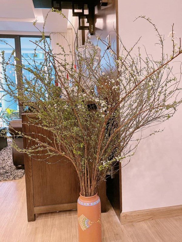 Á hậu Huyền My hiếm hoi lộ diện, nhan sắc như búp bê, ở trong căn hộ phong cách khác biệt với căn nhà của bố mẹ-6