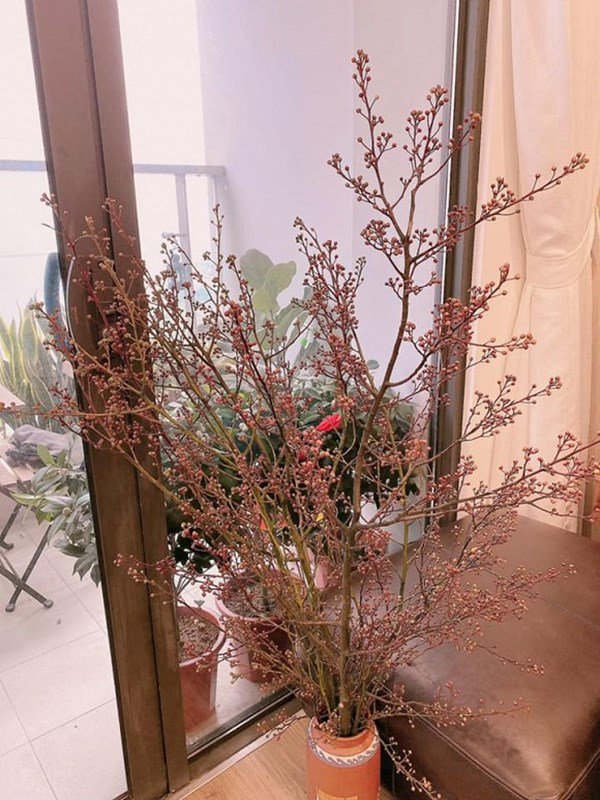 Á hậu Huyền My hiếm hoi lộ diện, nhan sắc như búp bê, ở trong căn hộ phong cách khác biệt với căn nhà của bố mẹ-7