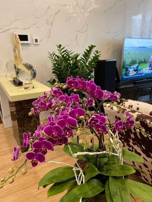 Á hậu Huyền My hiếm hoi lộ diện, nhan sắc như búp bê, ở trong căn hộ phong cách khác biệt với căn nhà của bố mẹ-8