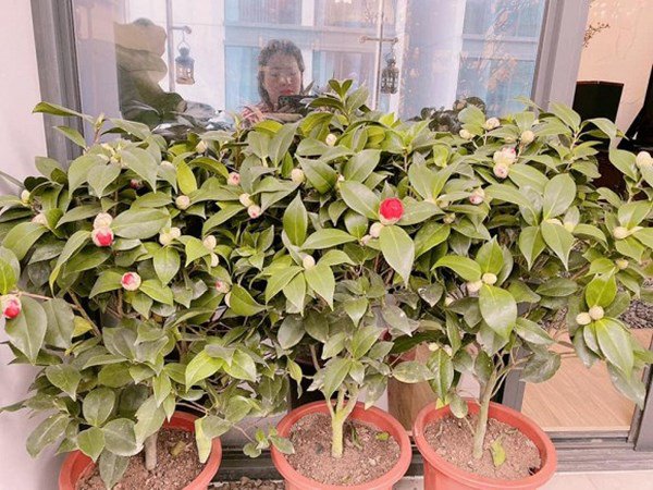 Á hậu Huyền My hiếm hoi lộ diện, nhan sắc như búp bê, ở trong căn hộ phong cách khác biệt với căn nhà của bố mẹ-9