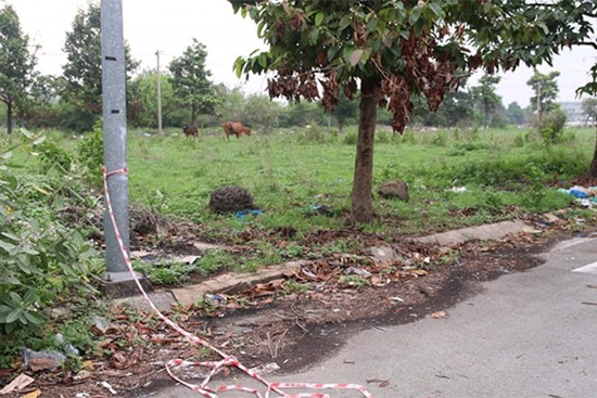 Vụ phân xác ở Bình Dương: Hơn 200 tin báo mất tích nhưng không trùng ADN