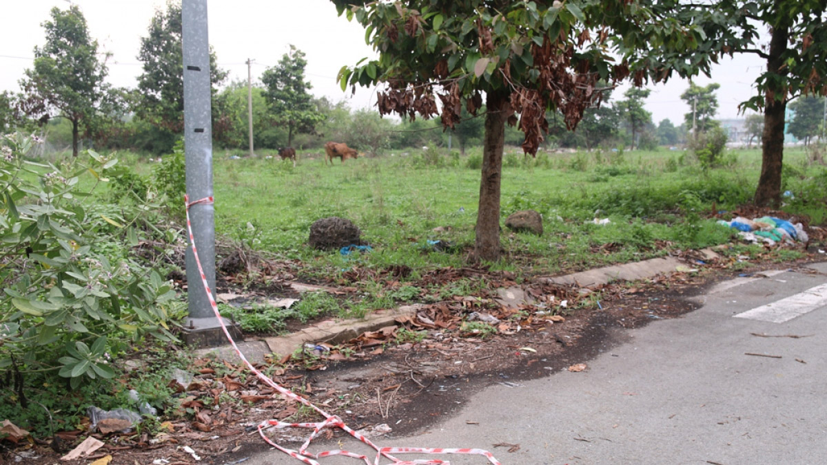 Vụ phân xác ở Bình Dương: Hơn 200 tin báo mất tích nhưng không trùng ADN-1