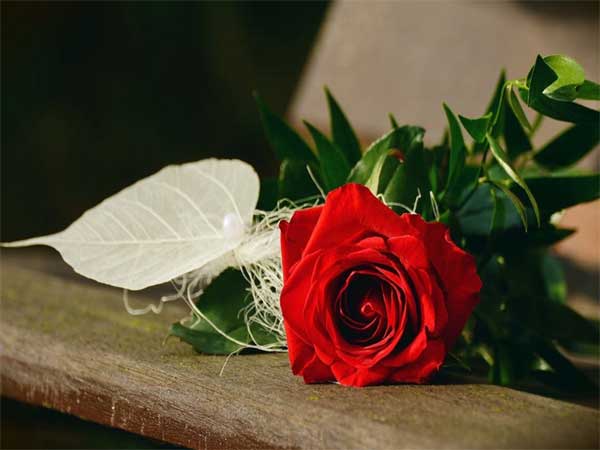 Vận mệnh an bài, ai sinh vào 3 khung giờ Âm lịch này trúng đậm tiền tài, cuối tháng 6, ước mơ thành hiện thực-3
