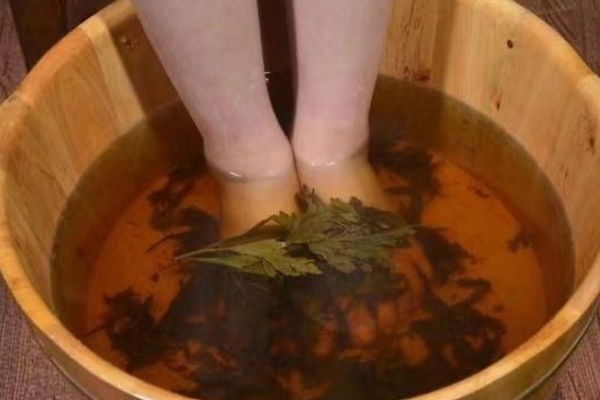 6 điều kỳ diệu sẽ xảy ra nếu bạn kiên trì ngâm chân bằng lá ngải cứu-2