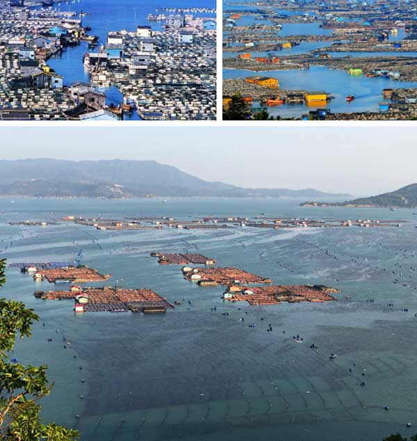 Ngôi làng trên biển ở Trung Quốc: Nhà cửa nổi lênh đênh, cuộc sống tiện nghi không thua trên đất liền-1