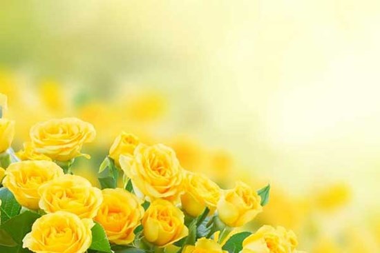 Tử vi ngày 14/6/2023: Tuổi Sửu không nên ganh đua, tuổi Tuất may mắn hơn người